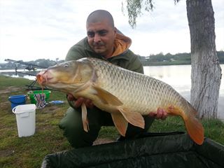 MV 2 septembrie 2013
